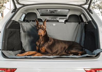 GF Pet  Pet Cargo Cover