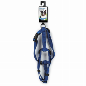 DGR 5/8in Adjustable Harness (Color: Blue)