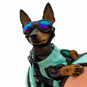 K9 Sport Shades - Dog Goggles (Color: Jet Black)