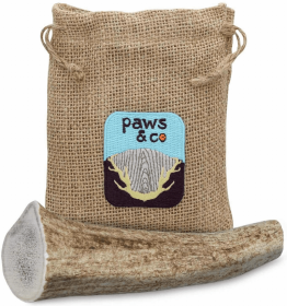 Whole Antler Chew (size: XLarge)