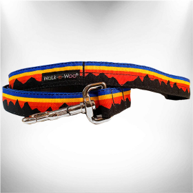 Dog Leash (Color: Mountain Blue, size: REGULAR 1" width- 5' long)