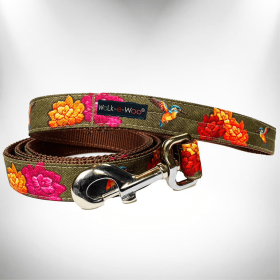 Dog Leash (Color: Hummingbird, size: REGULAR 1" width- 5' long)