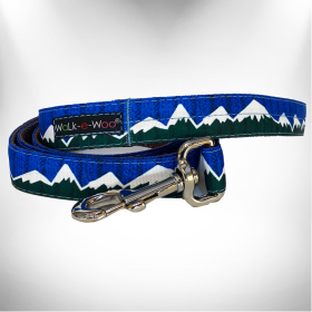Snowcap Mountain Dog Leash (Color: Blue/Green, size: REGULAR 1" width- 5' long)