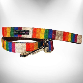 Dog Leads (Color: Rainbow Pride, size: THIN Lead 5/8" width- 5' length)