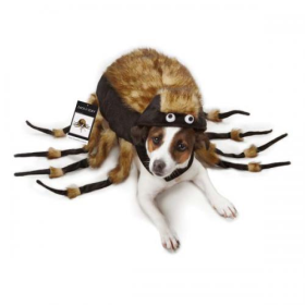 ZZ Fuzzy Tarantula Costume (Color: Brown, size: medium)